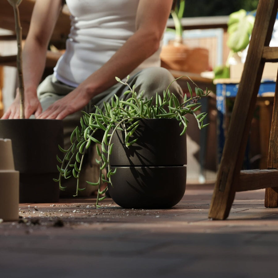 Medium Planter