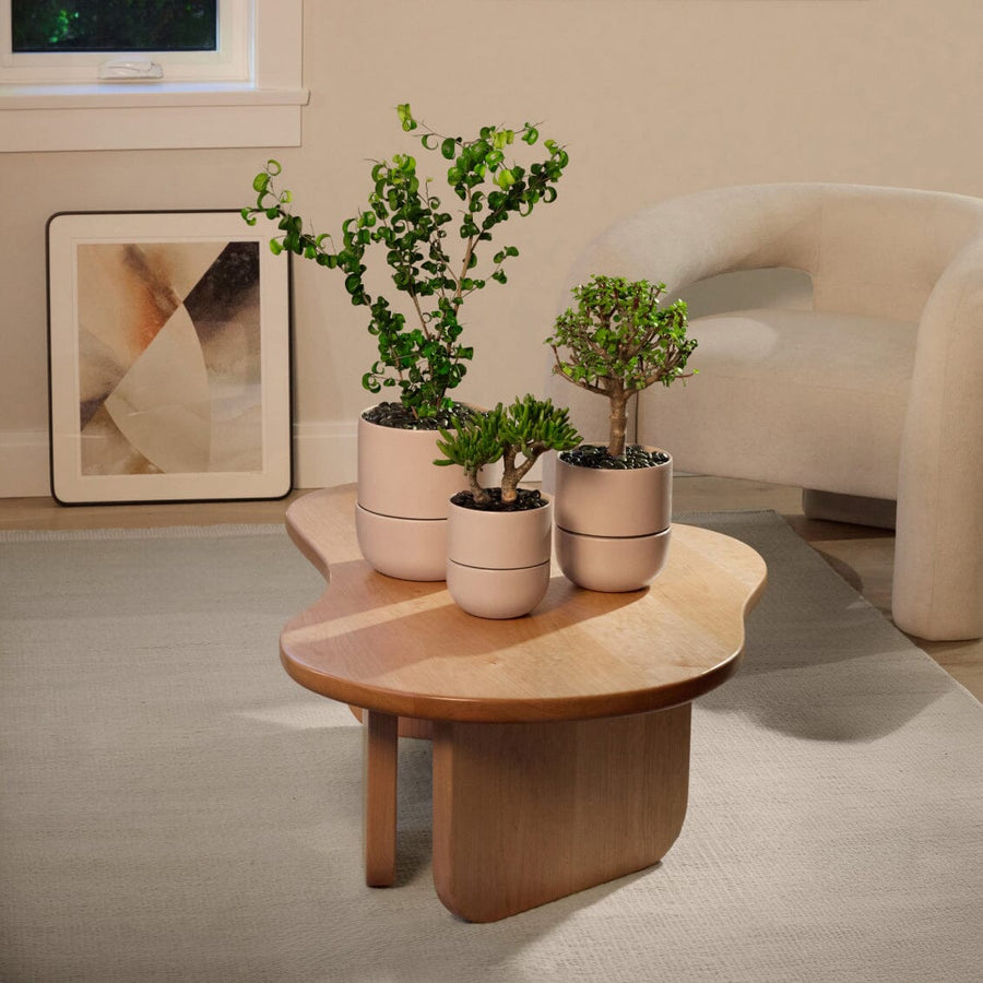 Small Planter